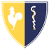 GRUPPO BONVICINI GRUPPE LOGO